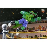 TEENAGE MUTANT NINJA TURTLES ARCHIE COMICS WRESTLING LEATHERHEAD ACTION FIGURE NECA