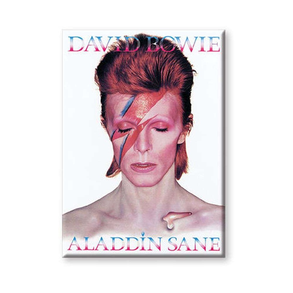 DAVID BOWIE ALADDIN SANE MAGNETE AQUARIUS ENT