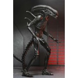 NECA ALIEN ROMULUS XENOMORPH XX121 ULTIMATE PVC ACTION FIGURE