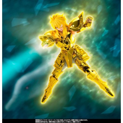 BANDAI SAINT SEIYA MYTH CLOTH EX AQUARIUS HYOGA INHERITOR OF THE GOLD CLOTH SERIES ACTION FIGURE