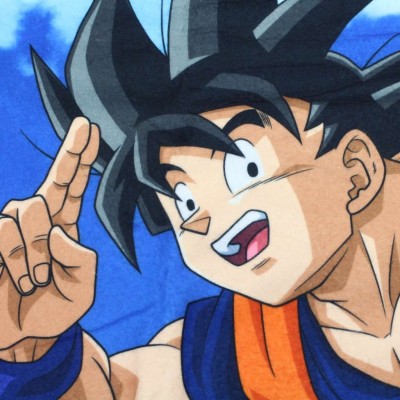 DRAGON BALL SUPER UNIVERSE SURVIVAL HEROES FLIGHT COPERTA IN PILE 100X150CM SD TOYS