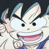 DRAGON BALL SHENRON AND HEROES COPERTA IN PILE 100X150CM SD TOYS