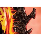 FANATTIK THE ELDER SCROLLS IV OBLIVION GATE INGOT REPLICA