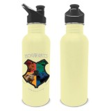 HARRY POTTER CASATE HOGWARTS BORRACCIA METALLO 700ML PYRAMID INTERNATIONAL