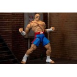 JADA TOYS ULTRA STREET FIGHTER II SAGAT PVC DELUXE ACTION FIGURE