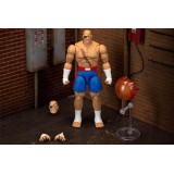 JADA TOYS ULTRA STREET FIGHTER II SAGAT PVC DELUXE ACTION FIGURE