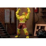 JADA TOYS ULTRA STREET FIGHTER II BLANKA PVC DELUXE ACTION FIGURE