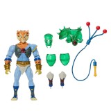 MASTERS OF THE UNIVERSE X THUNDERCATS TYGRA ACTION FIGURE MATTEL