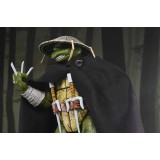 NECA TMNT NINJA TURTLES MIRAGE COMICS OLD MAN RAPHAEL PVC ACTION FIGURE