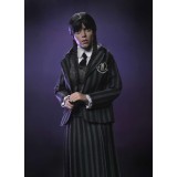 NECA WEDNESDAY ADDAMS & ENID NEVERMORE UNIFORM CLOTHED PVC 2-PACK ACTION FIGURES