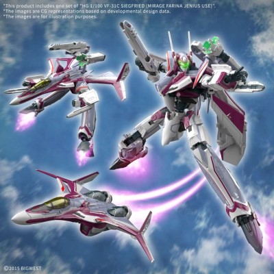 BANDAI HG HIGH GRADE VF-31C SIEGFRIED MIRAGE FARINA JENIUS USE 1/100 PVC MODEL KIT
