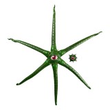 HASBRO MARVEL LEGENDS GAMERVERSE GARGANTOS ACTION FIGURE