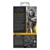 HASBRO STAR WARS THE BLACK SERIES JEDI TEMPLE GUARD PVC ACTION FIGURE