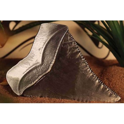 FANATTIK JAWS 50TH ANNIVERSARY SHARK TOOTH MEDALLION REPLICA