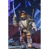 TEENAGE MUTANT NINJA TURTLES THE LAST RONIN MOJA RE-EVOLUTION ACTION FIGURE NECA