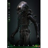 HOT TOYS ALIEN MOVIE MASTERPIECE SERIES BIG CHAP 1/6 36CM ACTION FIGURE