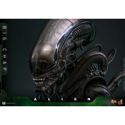 HOT TOYS ALIEN MOVIE MASTERPIECE SERIES BIG CHAP 1/6 36CM ACTION FIGURE