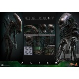 HOT TOYS ALIEN MOVIE MASTERPIECE SERIES BIG CHAP 1/6 36CM ACTION FIGURE