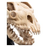 WETA THE LORD OF THE RINGS SKULL OF A FELL BEAST REPLICA 21CM