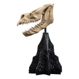 IL SIGNORE DEGLI ANELLI LORD OF THE RINGS SKULL OF A FELL BEAST REPLICA 21CM WETA