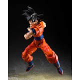 BANDAI DRAGON BALL Z SON GOKU KIND HEARTED SAIYAN VERSION S.H. FIGUARTS PVC ACTION FIGURE