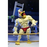 NECA TEENAGE MUTANT NINJA TURTLES ARCHIE COMICS STUMP WRESTLING ACE DUCK PVC ACTION FIGURE