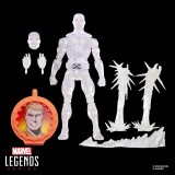 HASBRO MARVEL LEGENDS SECRET WARS SERIES ICEMAN X-MEN ACTION FIGURE