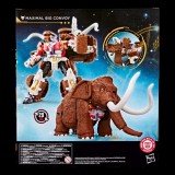 HASBRO TRANSFORMERS AGE OF THE PRIMES SERIES MAXIMAL BIG CONVOY ACTION FIGURE