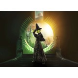 BANDAI WICKED ELPHABA S.H. FIGUARTS SERIES PVC ACTION FIGURE