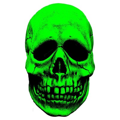 TRICK OR TREAT STUDIOS DON POST GLOWIN GHOULIES SKULL VINYL MASK