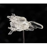 R-TYPE DOBKERATOPS FIGMA ACTION FIGURE FREEING