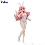 BAKA AND TEST SUMMON THE BEASTS HIMEJI MIZUKI BICUTE BUNNIES FIGURE STATUA FURYU