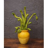 SUNFLOWERS BY VAN GOGH TABLE MUSEUM FIGMA ACTION FIGURE FREEING