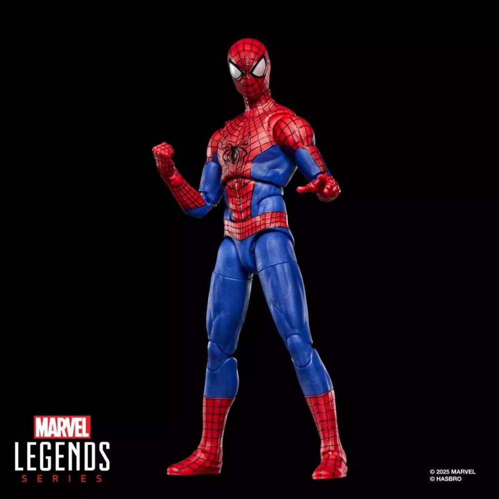 MARVEL LEGENDS THE AMAZING SPIDER-MAN NO WAY HOME ACTION FIGURE HASBRO