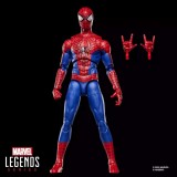 HASBRO MARVEL LEGENDS THE AMAZING SPIDER-MAN NO WAY HOME SERIES ACTION FIGURE