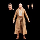 HASBRO MARVEL LEGENDS DEADPOOL & WOLVERINE CASSANDRA NOVA PVC ACTION FIGURE