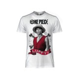 T SHIRT NETFLIX ONE PIECE LUFFY