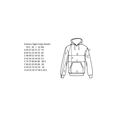 HOODIE DIEGO ARMANDO MARADONA D10S