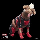HASBRO MARVEL LEGENDS DOGPOOL & DEADPOOL PACK ACTION FIGURES