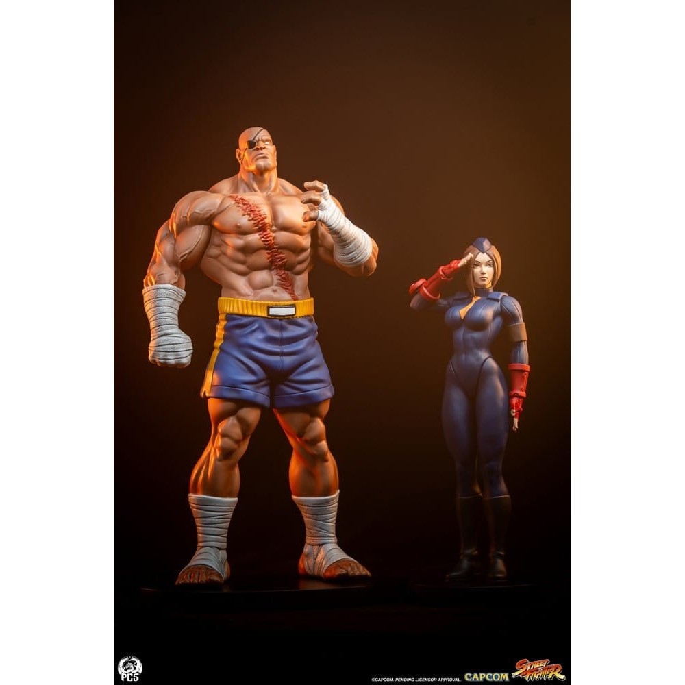 STREET FIGHTER SAGAT AND JULI STATUA FIGURE PCS PREMIUM COLLECTIBLES STUDIOS