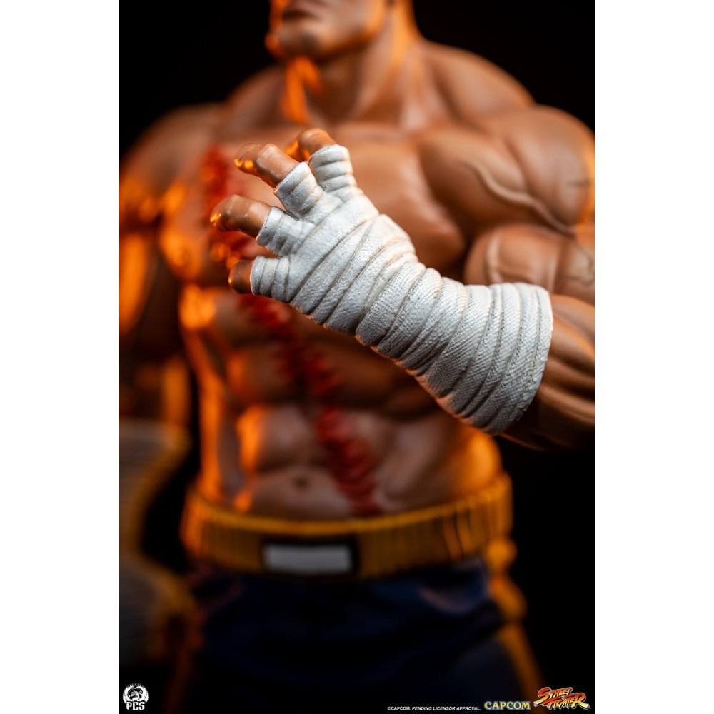 PCS PREMIUM COLLECTIBLES STUDIOS STREET FIGHTER SAGAT AND JULI 1/10 SCALE STATUE FIGURE