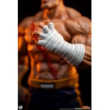 PCS PREMIUM COLLECTIBLES STUDIOS STREET FIGHTER SAGAT AND JULI 1/10 SCALE STATUE FIGURE
