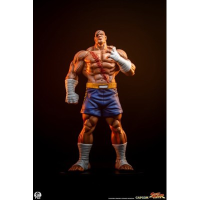 STREET FIGHTER SAGAT AND JULI STATUA FIGURE PCS PREMIUM COLLECTIBLES STUDIOS