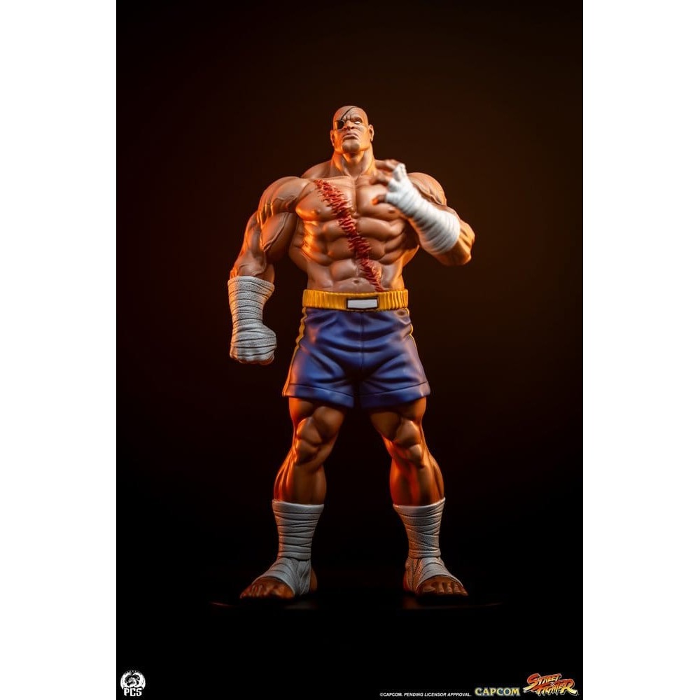 STREET FIGHTER SAGAT AND JULI STATUA FIGURE PCS PREMIUM COLLECTIBLES STUDIOS