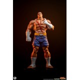 STREET FIGHTER SAGAT AND JULI STATUA FIGURE PCS PREMIUM COLLECTIBLES STUDIOS
