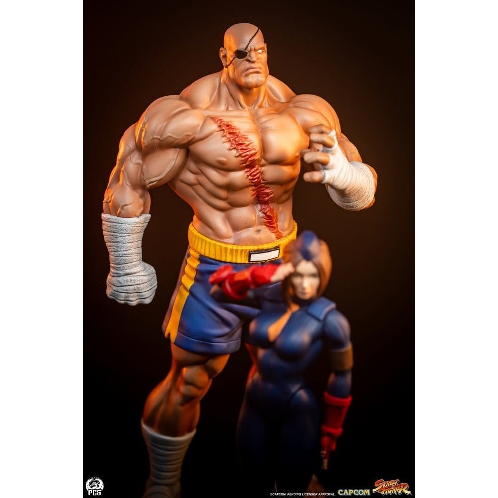 STREET FIGHTER SAGAT AND JULI STATUA FIGURE PCS PREMIUM COLLECTIBLES STUDIOS