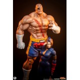 PCS PREMIUM COLLECTIBLES STUDIOS STREET FIGHTER SAGAT AND JULI 1/10 SCALE STATUE FIGURE