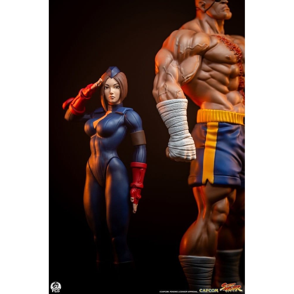 PCS PREMIUM COLLECTIBLES STUDIOS STREET FIGHTER SAGAT AND JULI 1/10 SCALE STATUE FIGURE