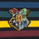 CINEREPLICAS HARRY POTTER HOGWARTS SCARF SCIARPA