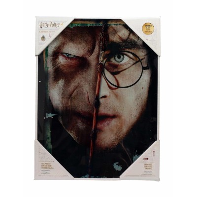 HARRY POTTER HALF FACE VOLDEMORT HARRY GLASS POSTER IN VETRO 40 X 30 CM SD TOYS